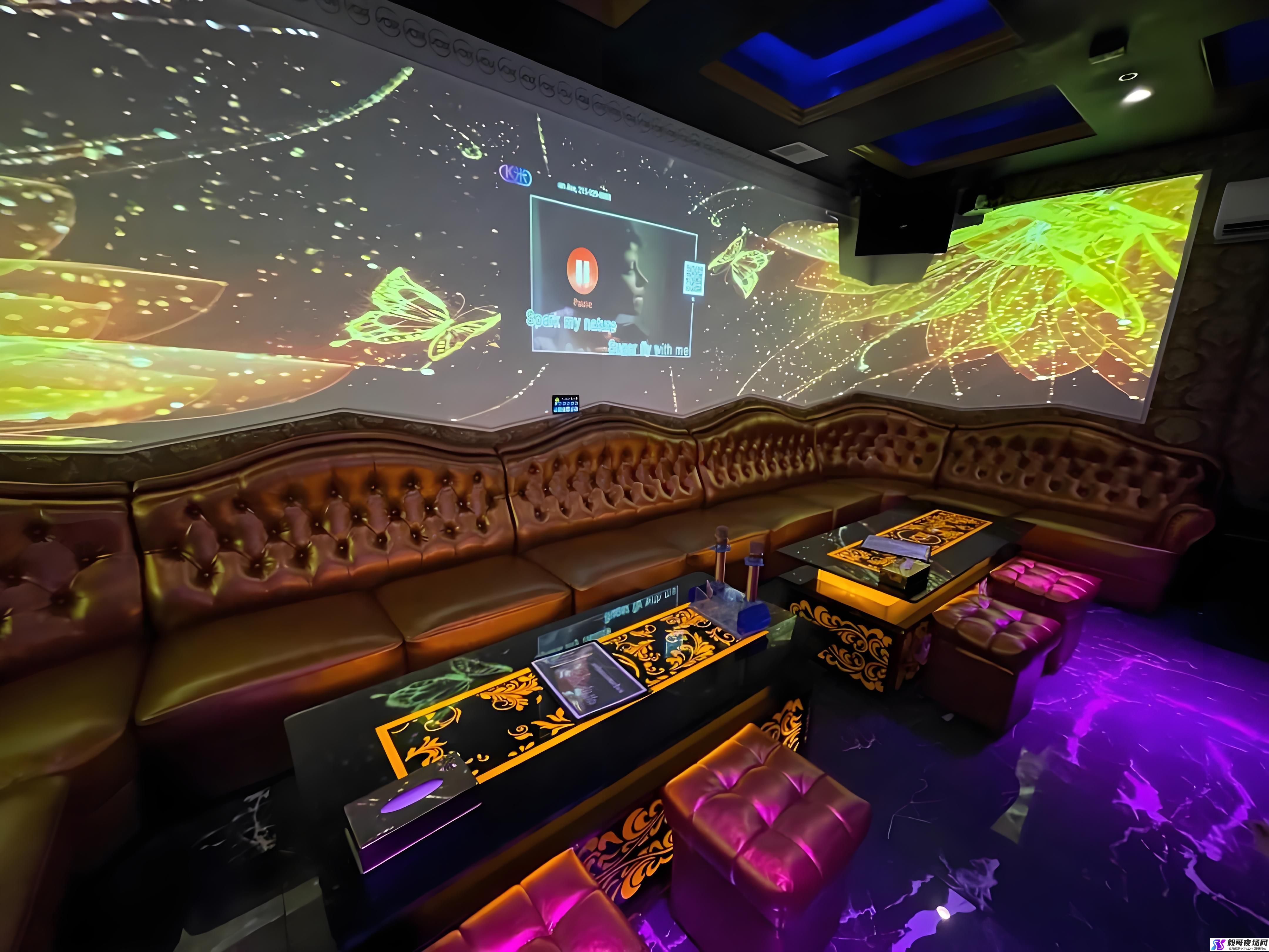 全面解析天津KTV公主费用与服务